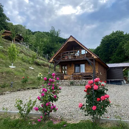 Chalets Du Bf Sighişoara Exterior foto