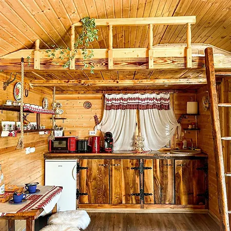 Chalets Du Bf Sighişoara Exterior foto