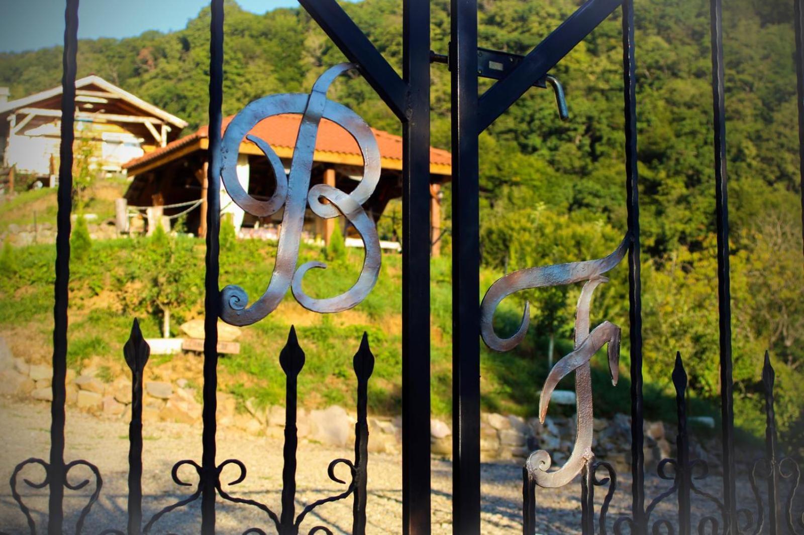 Chalet Du Bf Sighişoara